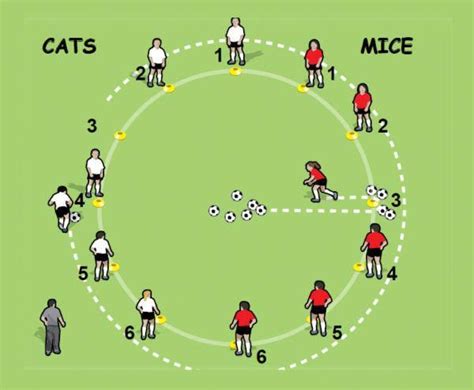 Cat and Mouse soccer drill for 5 to 8 year olds - part 3 | Soccer drills for kids, Fun soccer ...