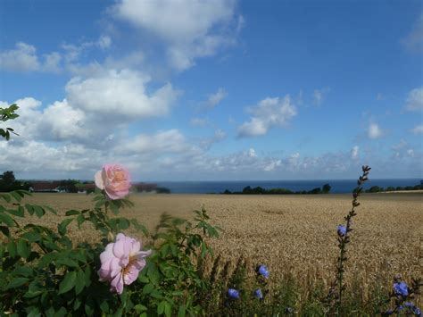 Pinchpots: Bornholm, Bornholm, Bornholm....