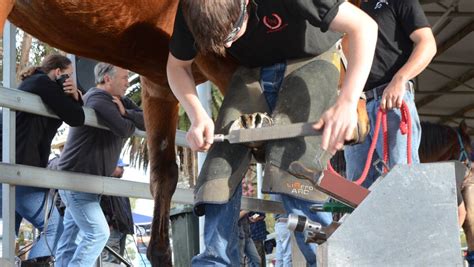 Top farriers compete at Scone | The Land | NSW