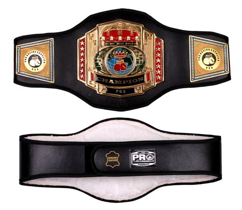 Championship Belts & Awards – Pro Boxing Supplies