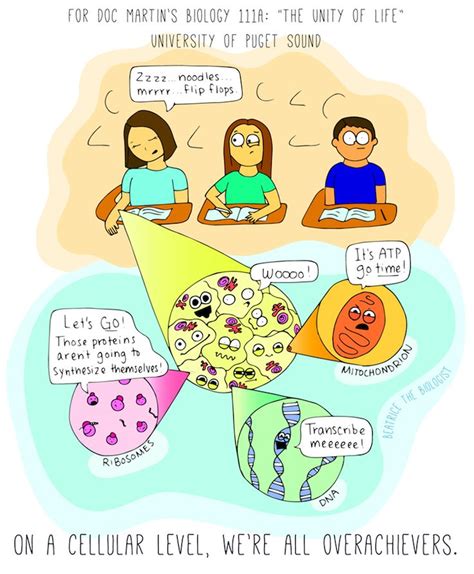 Your Cells Keep Busy - Beatrice the Biologist | Biology humor, Biology, Fun science