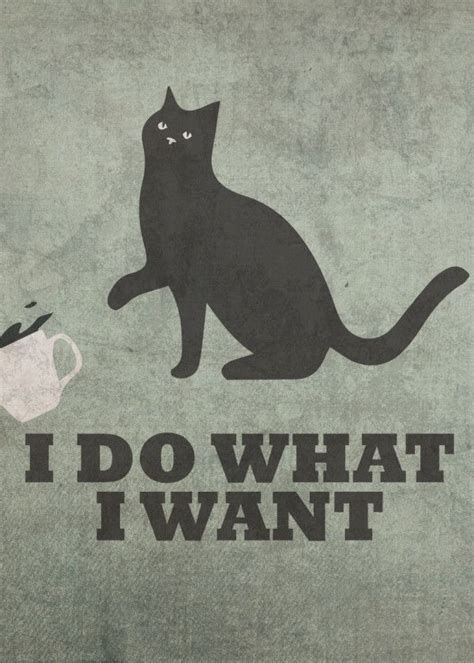 'I Do What I Want Cat Humor' Poster by Design Turnpike | Displate in 2021 | Funny cats, Cats ...