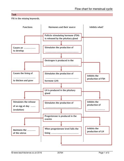 Menstrual Cycle Hormones Flow Chart