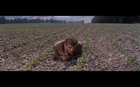 East of Eden (1955) : r/CineShots