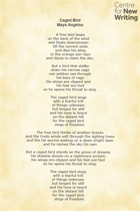 Caged Bird Poem By Maya Angelou One Of My Favorite The Caged Bird Sings ...