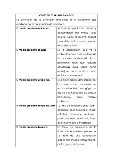 ConcepcionesAmbienteSEO | PDF