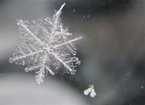 Incredible Examples of Snowflake Photography | WDD