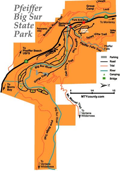 Découvrir Pfeiffer Big Sur State Park avec notre guide complet