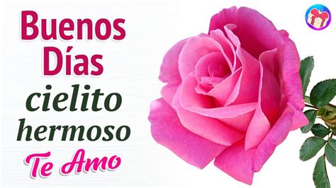 💌 ¡Buenos Días, mi cielo! 💝 Que hoy te vaya de lo mejor y no olvides que... Rose, Flowers ...