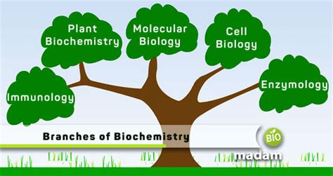 Scope and Application of Biochemistry