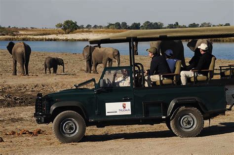 [Top-10] The Best Safari Lodges In Botswana For 2021