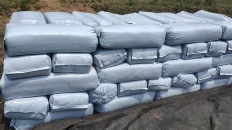 Maize Silage Animal Feed, Packaging Type: 50 kg bag at Rs 7/kg in Vijayapura