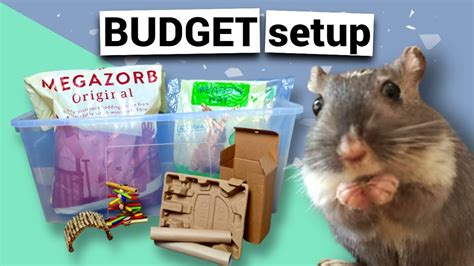 Gerbil cage setup ON A BUDGET - YouTube