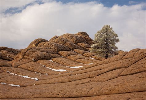 Life on Mars • Southwest • Julian Bunker Photography