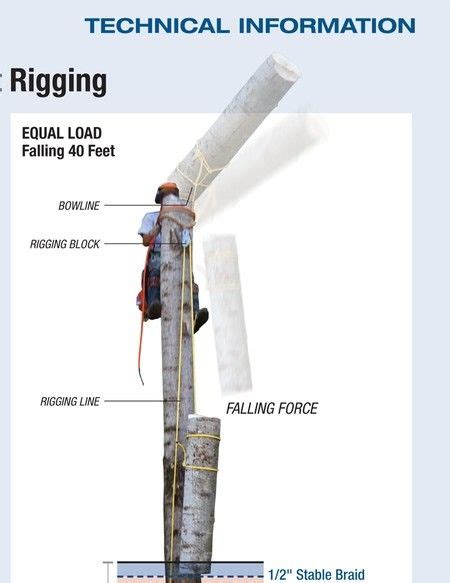 Samson Rope Catalog - Arborist 2011 - page 19 | Tree arborist, Arborist, Arborist climbing