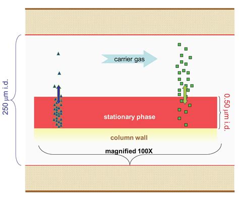 Stationary Mobile Phase And Application Of Gas Chromatography Presentation