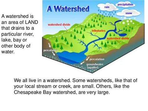 Problems with the watershed of chesapeake bay