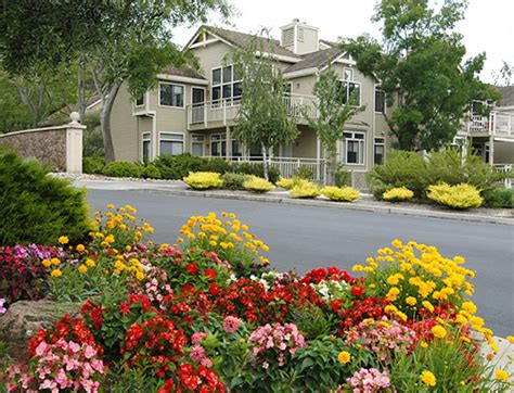 Award-winning retirement community for active adults in Walnut Creek.