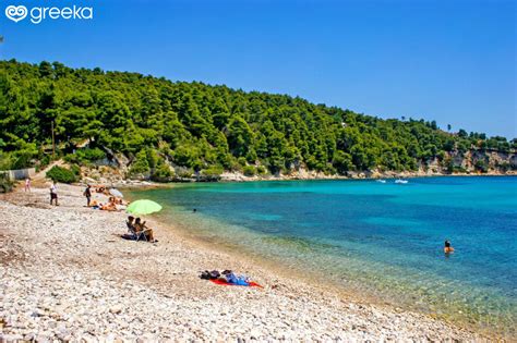 Alonissos Milia beach: Photos, Map | Greeka