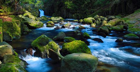 Kumamoto Recreation Forest：Forestry Agency