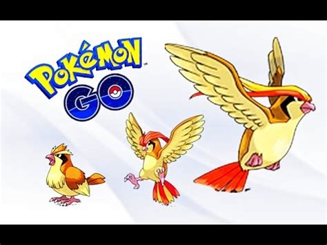 Pokemon Pidgeotto Evolution