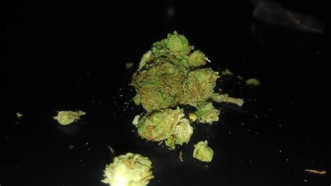 Buy Wifi White Fire OG Marijuana Strain - Buy Online Australia