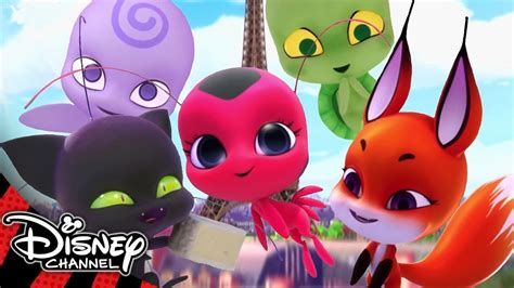 Miraculous Ladybug | Meet the Kwamis! | Disney Channel UK - YouTube