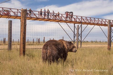 Keenesburg, Colorado – Activities and Events | Weld County