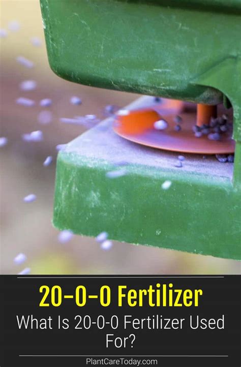 20-0-0 Fertilizer: What It Is And How To Use It