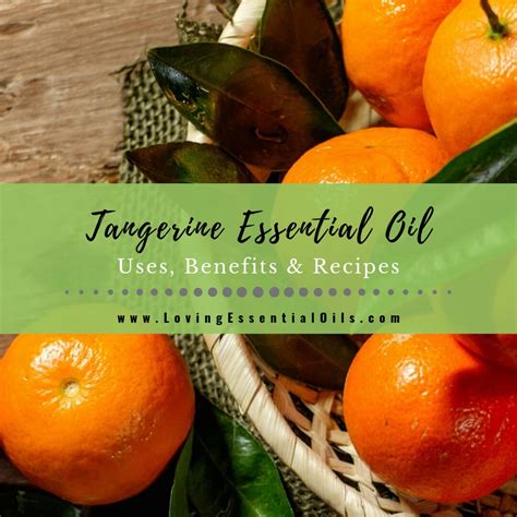 Tangerine Essential Oil Uses, Benefits & Recipes - EO Spotlight