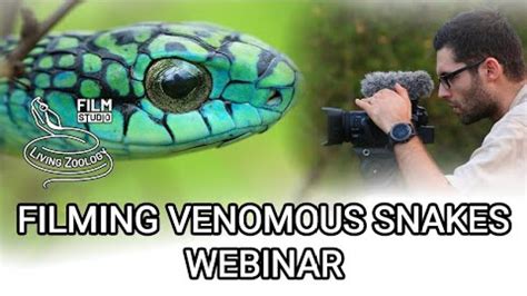 Filming deadly venomous snakes, crocodiles, wildlife documentary webinar - Living Zoology ⋆ ...