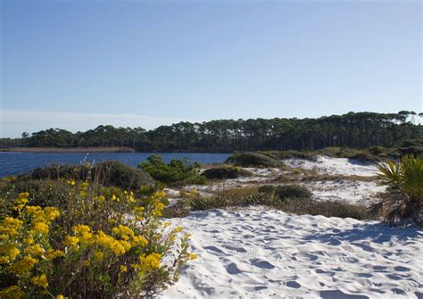 A delightful journey to Grayton Beach State Park | Walton Outdoors