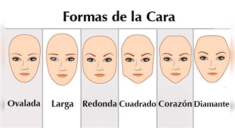 ¿Cómo es tu rostro? Así sería tu personalidad según la forma de tu cara ...