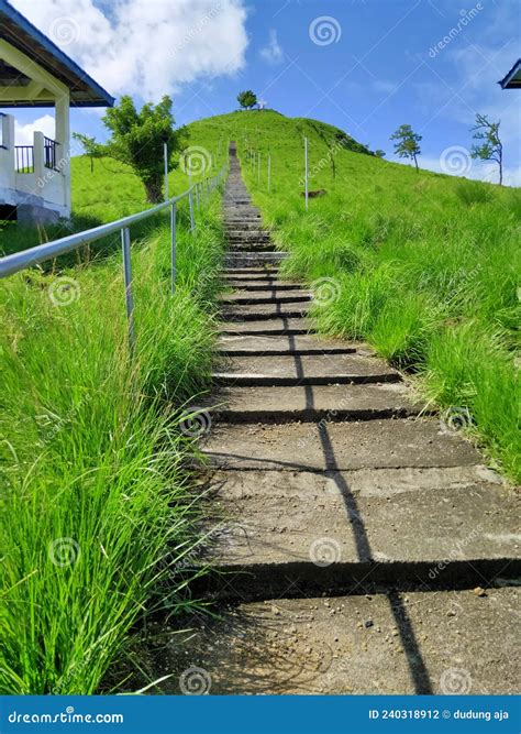 The thousand stairs stock photo. Image of stairs, green - 240318912