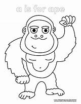 Ape Coloring Page  PrimaryLearningOrg sketch template