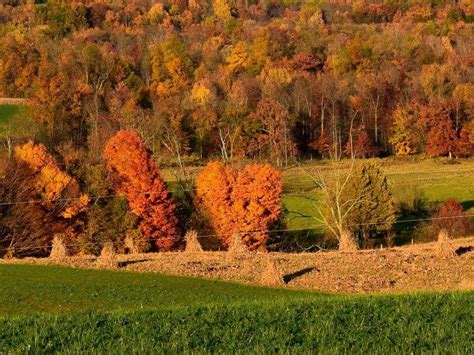 Ohio fall 2015 | Nature, Farmland, Outdoor