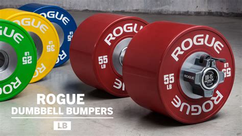 Rogue Dumbbell Bumpers | Rogue Fitness