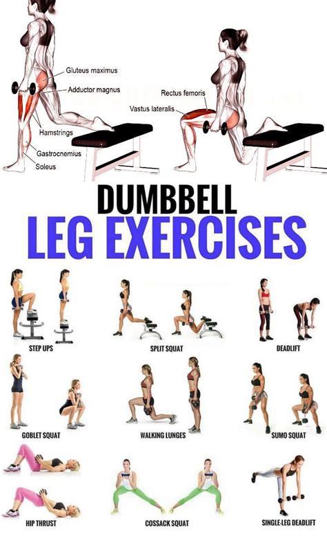 Top 5 Dumbbell Exercises for A Leg-Destroying Workout - GymGuider.com ...