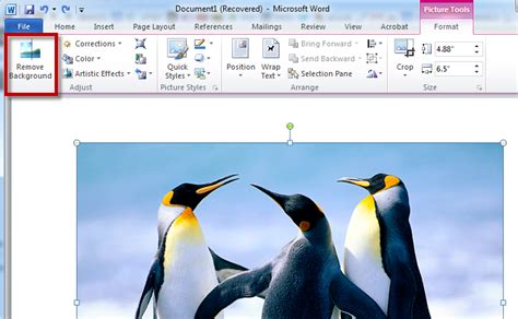 Remove Background Of Picture In MS Word 2013 ~ Netscope Technologies