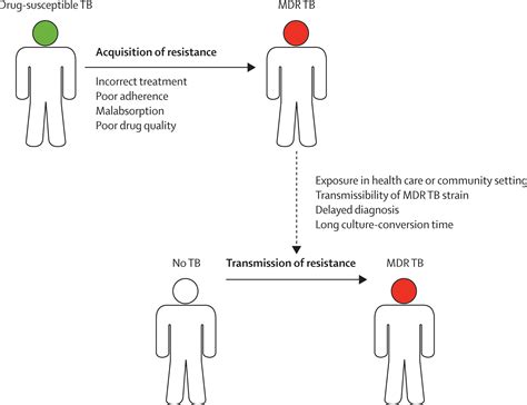 Multidrug-resistant and extensively drug-resistant tuberculosis: a ...