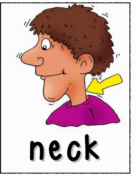 Neck clipart, Neck Transparent FREE for download on WebStockReview 2024