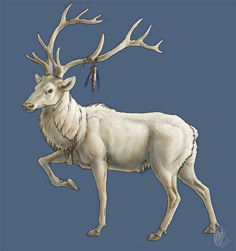 White Elk by chenneoue on DeviantArt