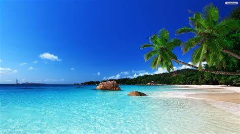 1920x1080 Tropical Beach Wallpapers, PC, Laptop 45 Tropical Beach Pics in FHD ... | Beach ...