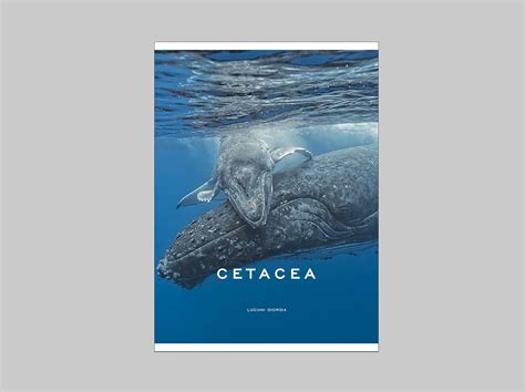 CETACEA on Behance