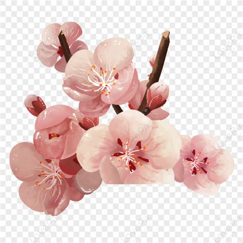 Plum Blossom, Pink Violet, Chinese Traditional, Brown Light PNG ...