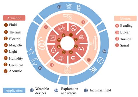 Actuators | Free Full-Text | A Review of Soft Actuator Motion ...