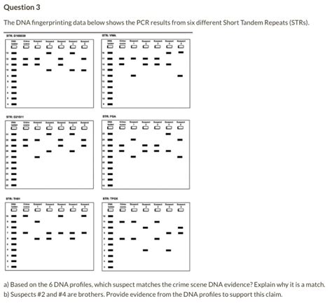 SOLVED: The DNA fingerprinting data below shows the PCR results from six different Short Tandem ...