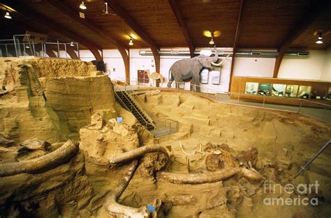 Mammoth Site Museum Photograph by Mark Newman