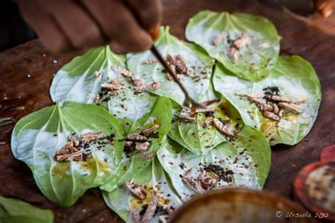 Betel quid and Myanmar Culture