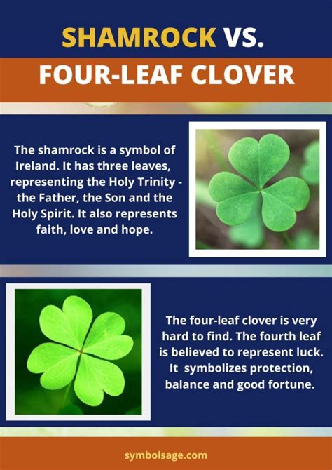 Shamrock Vs. Four-leaf Clover – Symbol Sage | Irish symbols and meanings, Symbols, Clover leaf